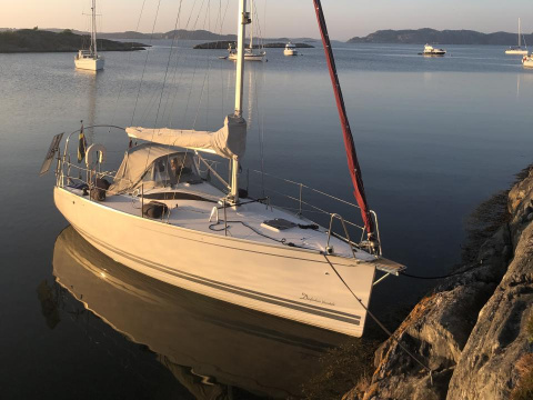 Delphia 28