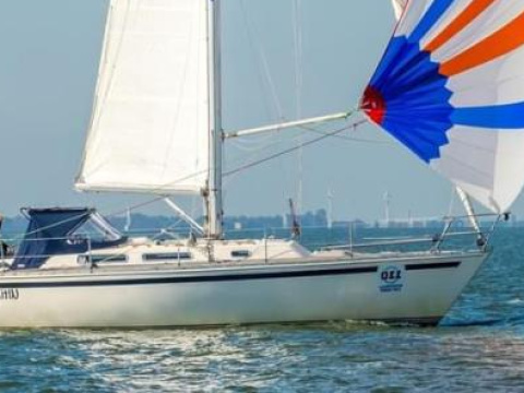 Spirit 36