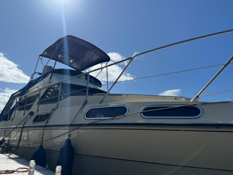Sealine 305