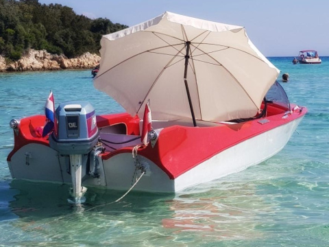 Evinrude Klassiker 1959er