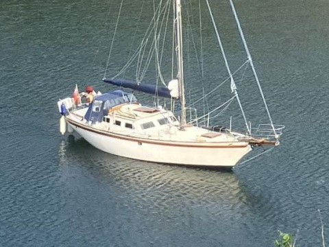 Endurance 37