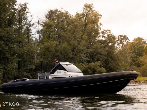 Goldfish 29 Sport