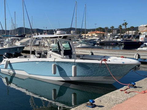 Wellcraft 302