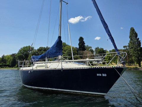 Colvic UFO 31