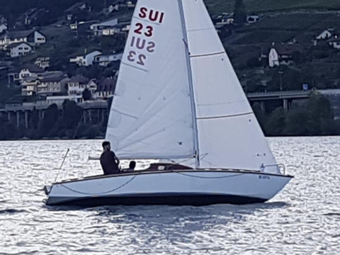Meier Schwalbe MC 20
