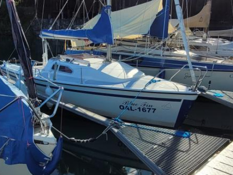 Sailart 18 Cruise