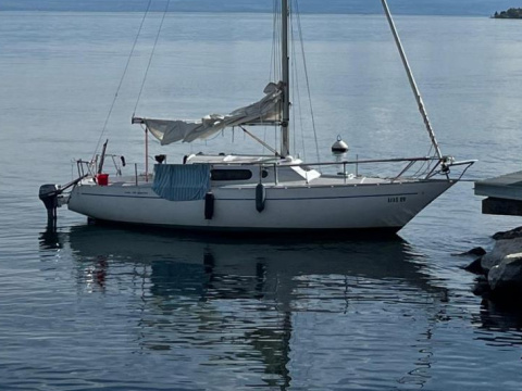 Mallard Ecume De Mer 75
