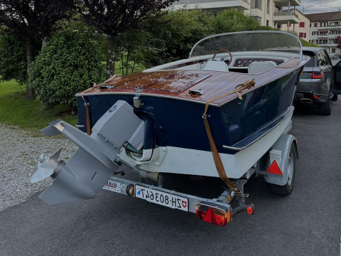 Walser 510