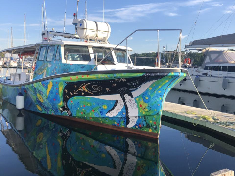 Electric Tour/Fishing Commercial Vessel