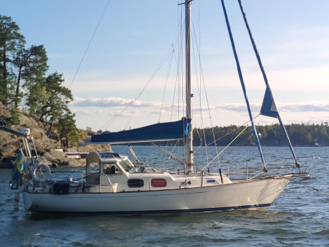 Harmony 31