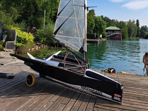 McConaghy Foiling Moth