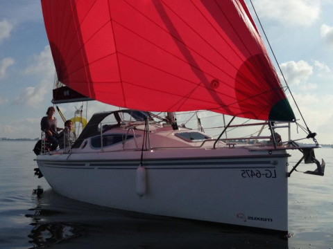Maxus 24