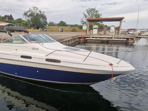 Sea Ray 230