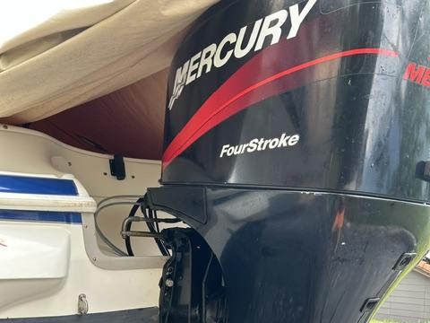 Mercury