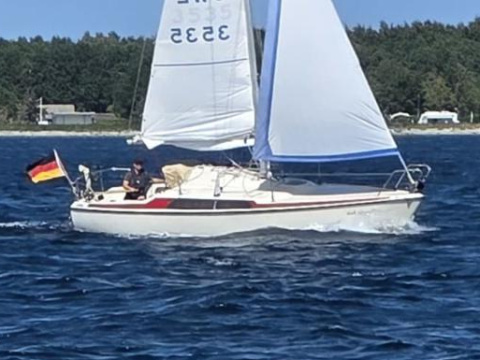 Maxi 77