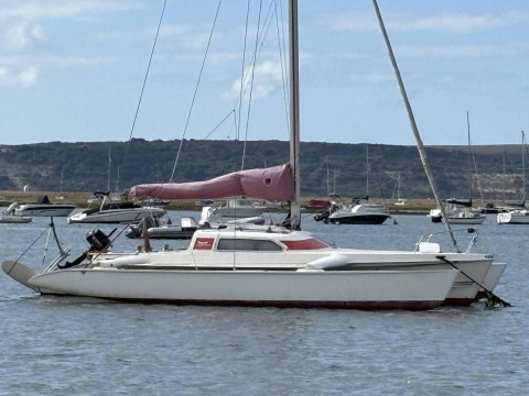 Dragonfly 800