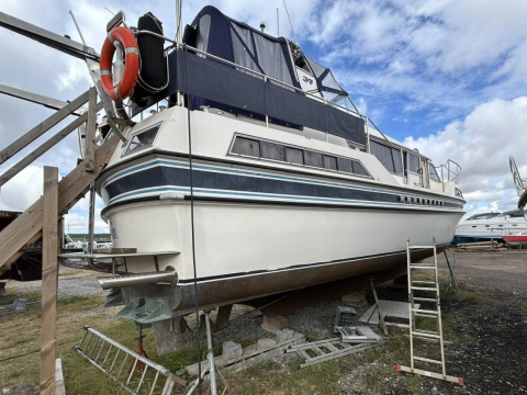 Broom Crown 37