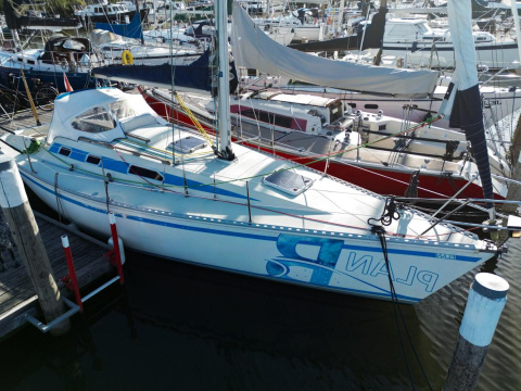 Elan 33