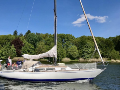 Puma 34