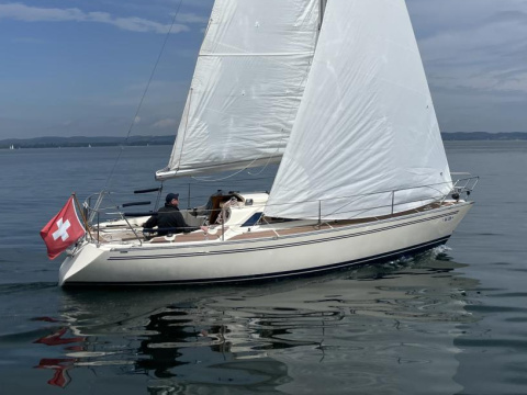 Olsen 31