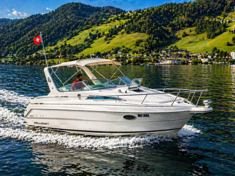 Wellcraft Martinique 26