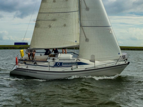 Dehler 31 Top