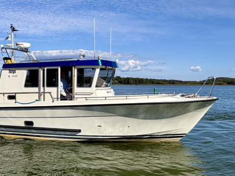 Targa 33