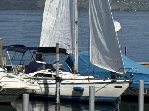 Boström B31