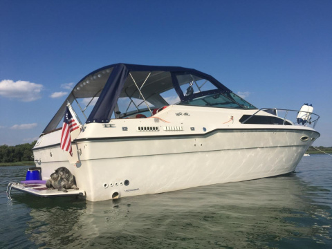 Sea Ray 300