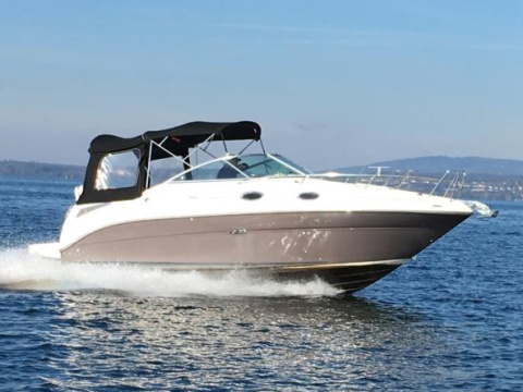Sea Ray 255 DAE