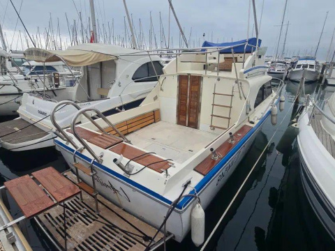 Seabird Condor 29
