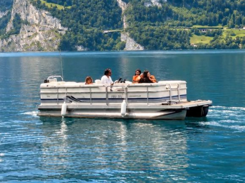 Harris 20 Cruiser Grand BI