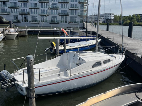 Hurley 20