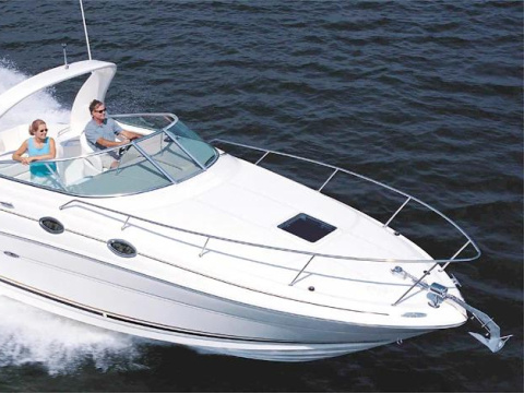 Sea Ray SUNDANCER 315