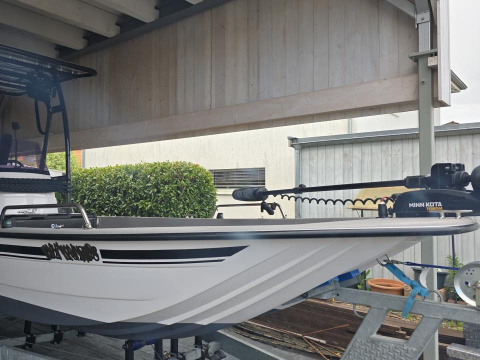Swiss Cat 21