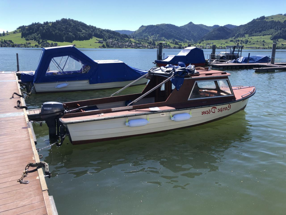 occasion motorboote thunersee