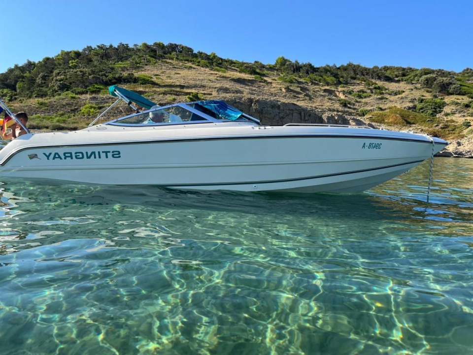 1995 Stingray 658 ZPX, EUR 22,500